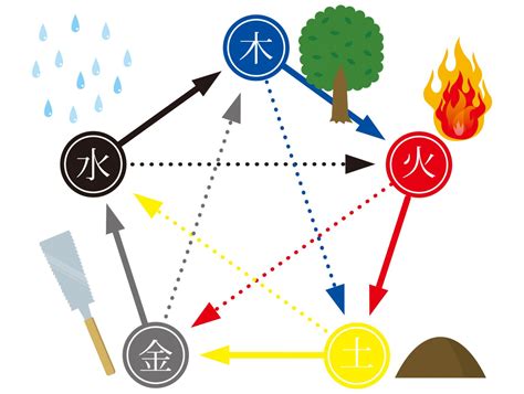 五行木 水晶|五行水晶分類指南：金、土、火、木、水屬性水晶大盤點